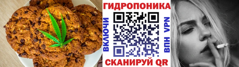 продажа наркотиков  Бородино  Canna-Cookies конопля 