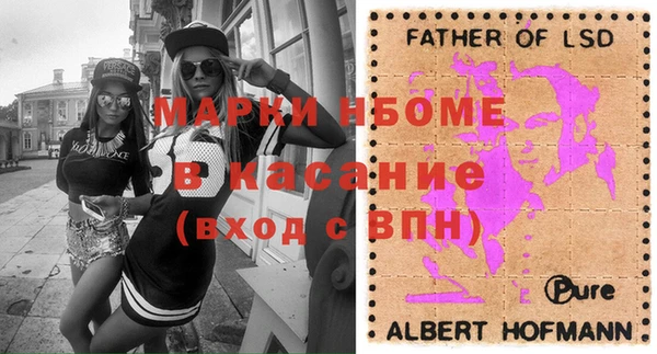 сатива Бородино