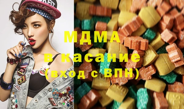 сатива Бородино