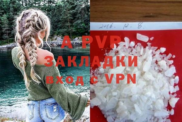 сатива Бородино