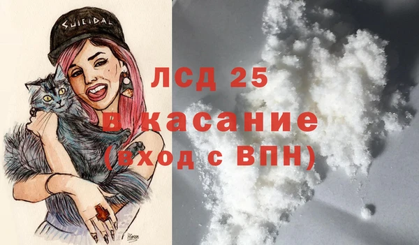 сатива Бородино