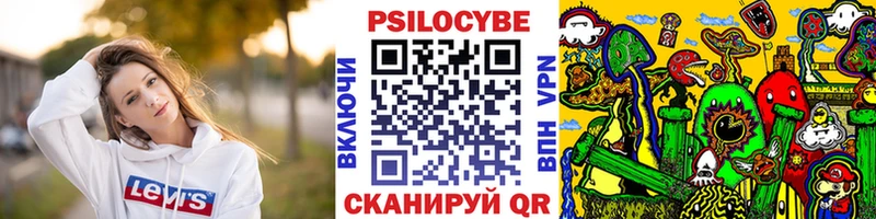 Псилоцибиновые грибы мицелий Бородино